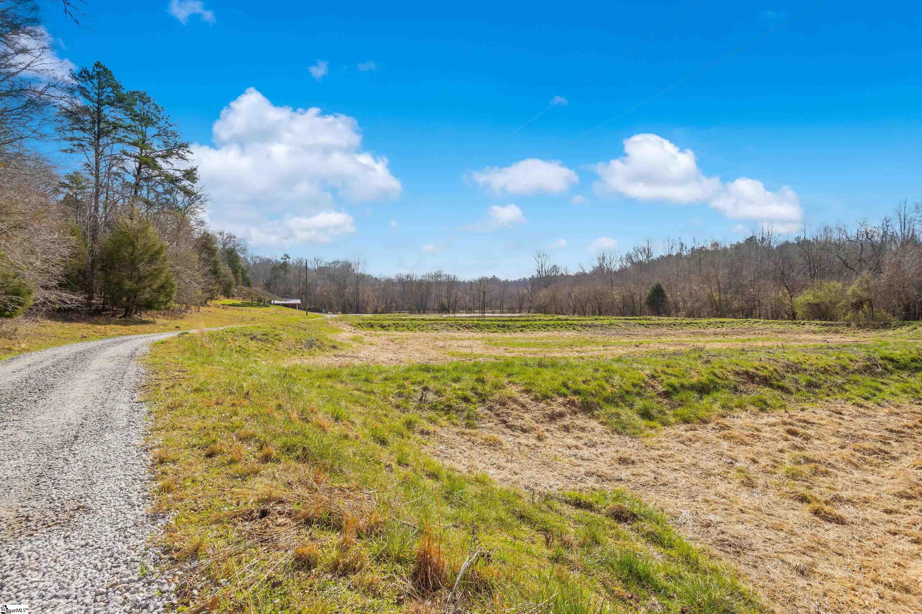 0 Chumley Road, Unit LOT# 4 Woodruff, SC 29388 - Photo 7 of 24