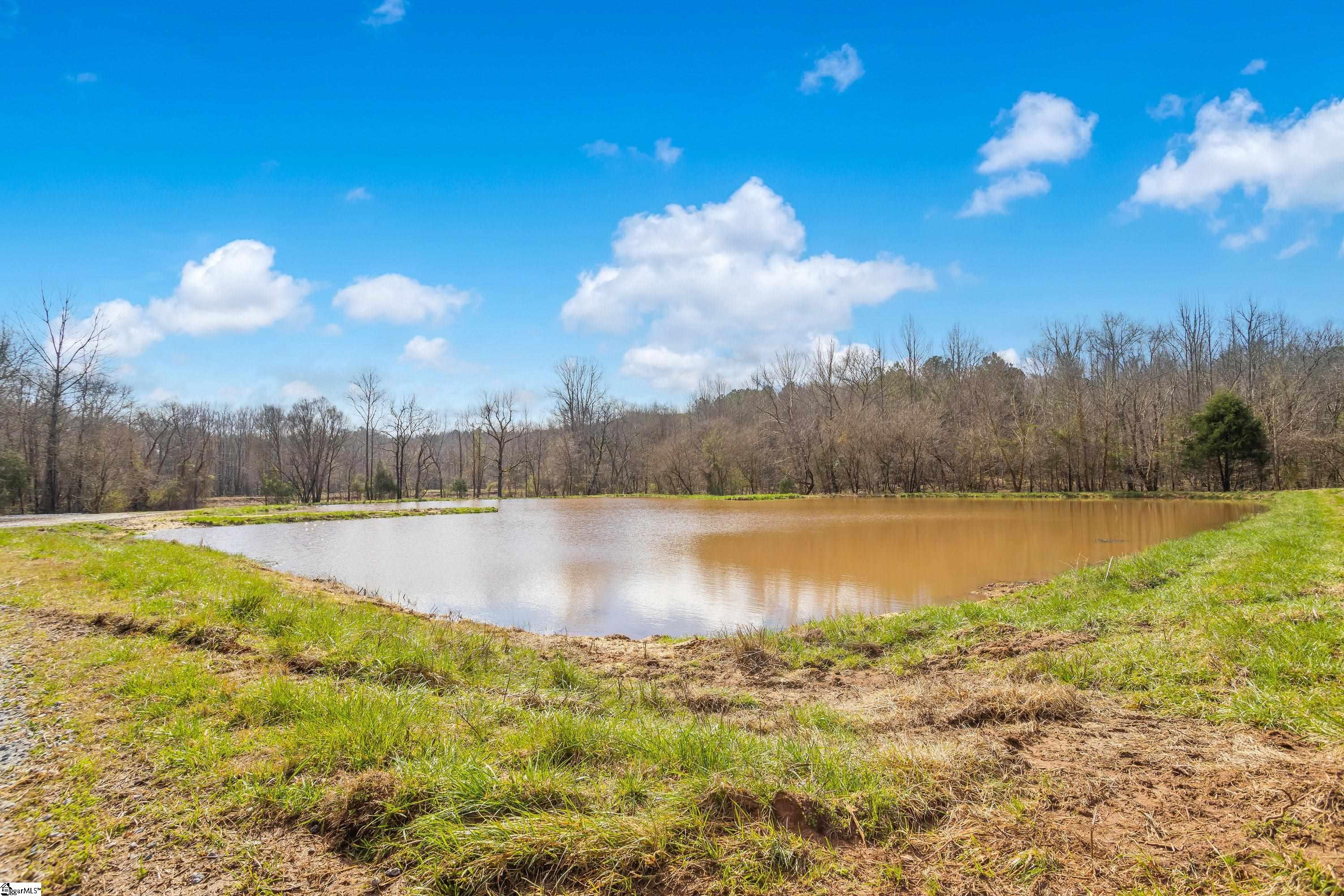 0 Chumley Road, Unit LOT# 4 Woodruff, SC 29388 - Photo 8 of 24