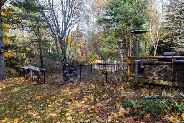 a view of a park with bench and some trees