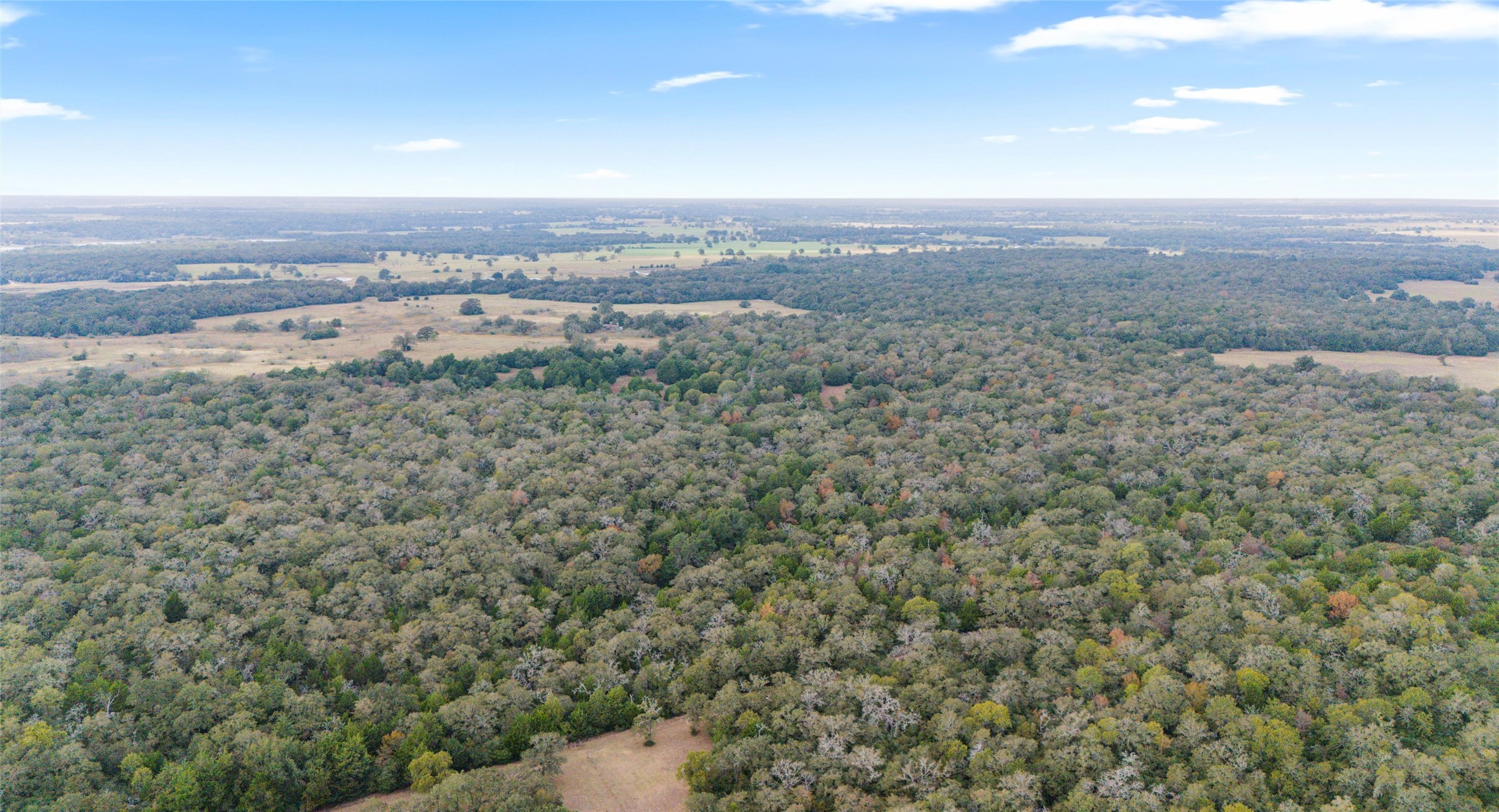 Tbd North County Road East, Unit 415 Lexington, TX 78947 - Photo 10 of 14