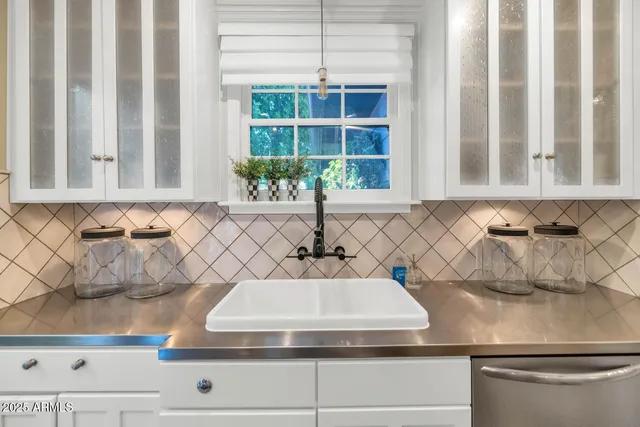 a view of a sink and a potted plant