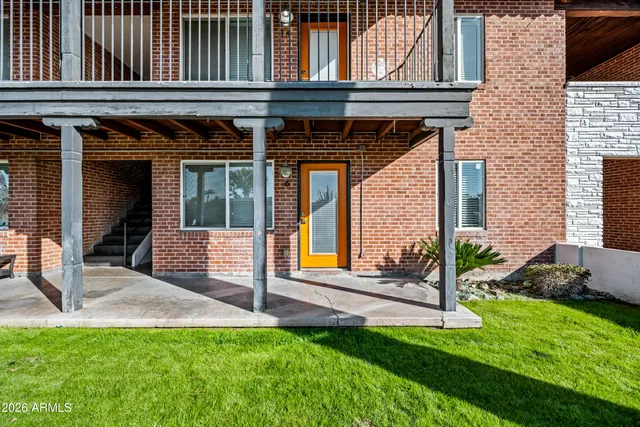 a view of a backyard with plants and large tree