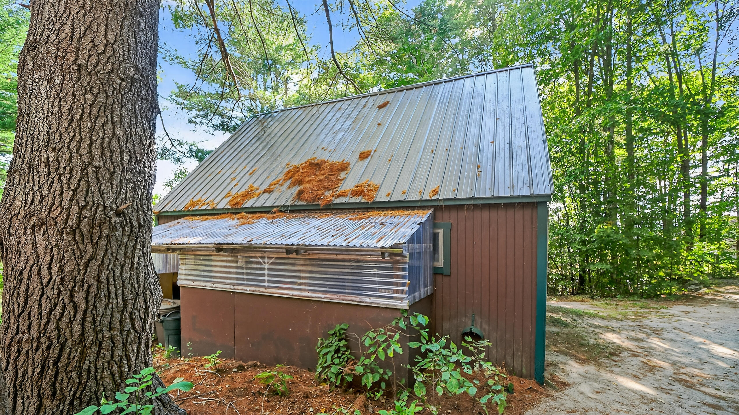 18 Ledge Hill Road Harrison, ME 04040 - Photo 54 of 79 012_18 Ledge Hill Road Sweden ME (14)