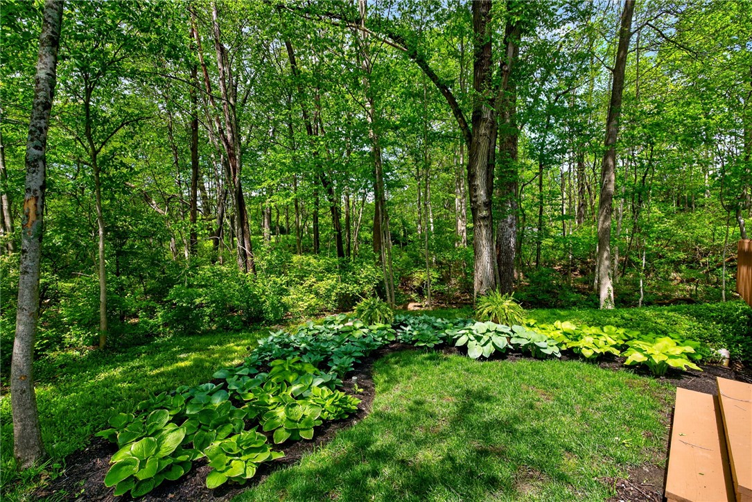 7399 Highway 48 Springboro, OH 45066 - Photo 45 of 53