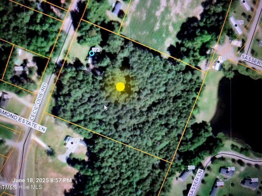 972 Cecil-Odie Road Clinton, NC 28328 - Photo 3 of 4 an aerial view of a residential houses with yard