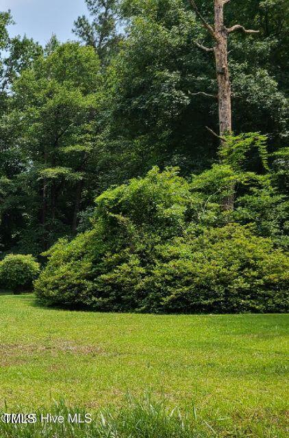 972 Cecil-Odie Road Clinton, NC 28328 - Photo 4 of 4 a view of a garden