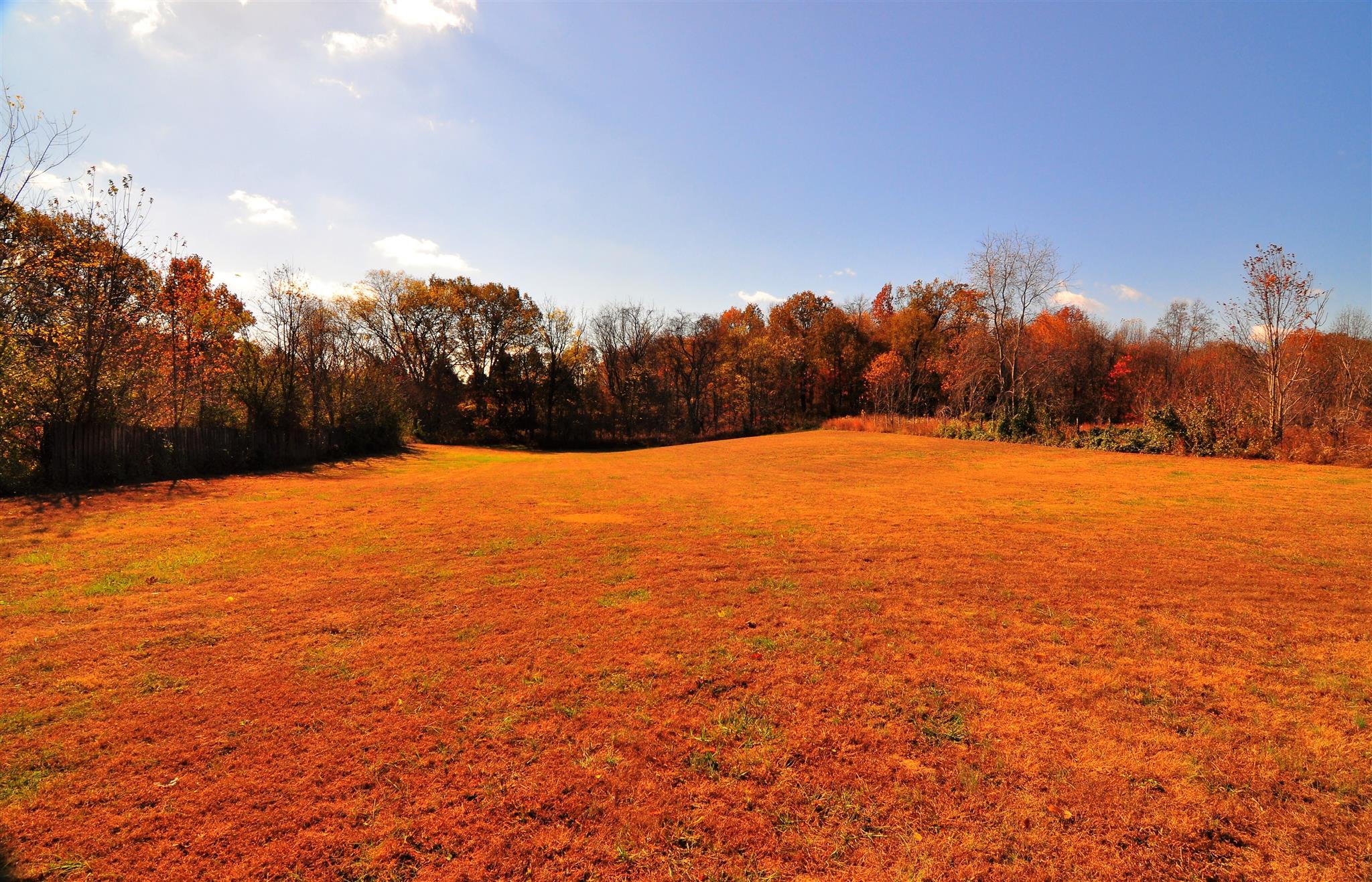 5038 Minnis Road Springfield, TN 37172 - Photo 19 of 20