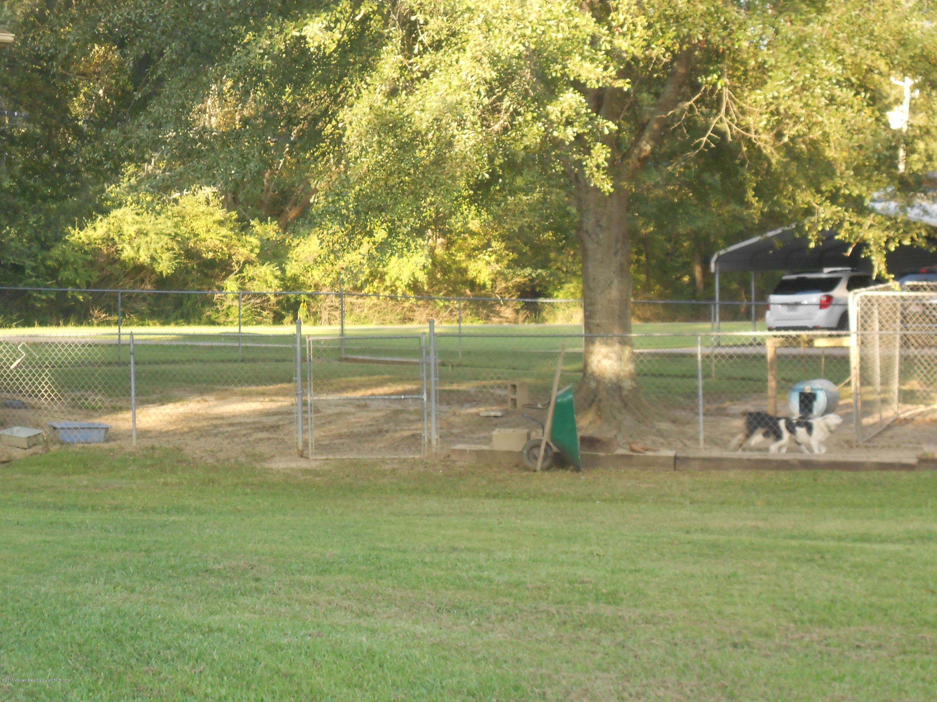 404 Drummond Road Jasper, AL 35504 - Photo 20 of 25 Gallery Image 20