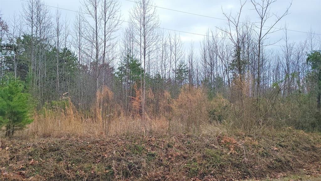 3 Abilene Road, Unit 3 Keysville, VA 23947 - Photo 2 of 2 Gallery Image 2