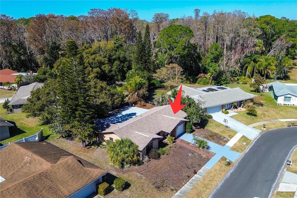 808 Helmsman Way Palm Harbor, FL 34685 - Photo 25 of 27 an aerial view of a house with a garden