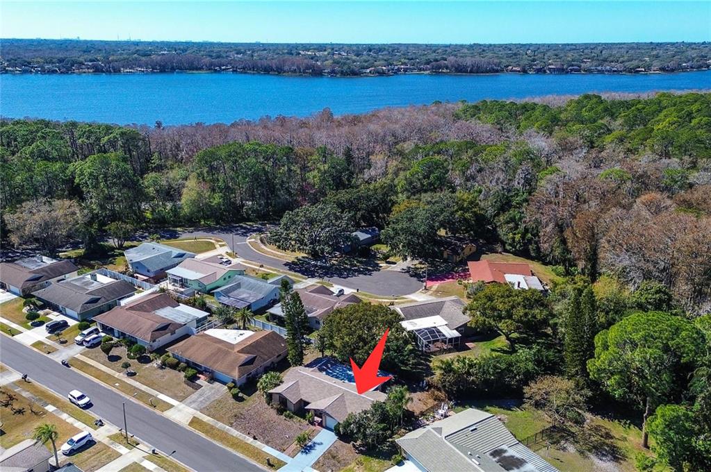 808 Helmsman Way Palm Harbor, FL 34685 - Photo 26 of 27 an aerial view of lake residential house with swimming pool and outdoor space