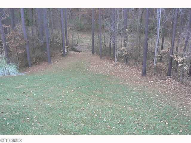 226 Canyon Road Mocksville, NC 27028 - Photo 16 of 16 Yard/Garden.