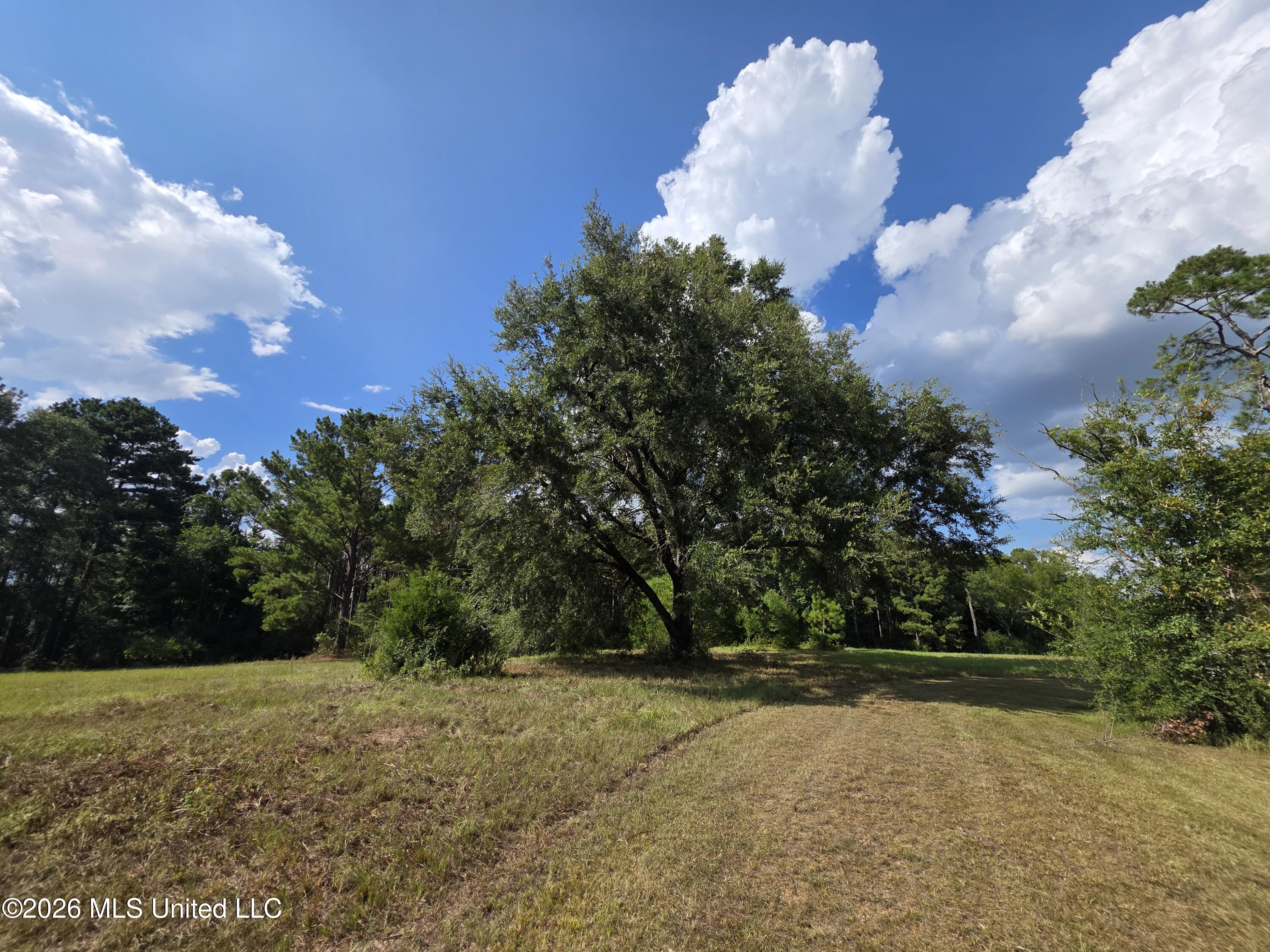325 Double Ponds Road Prentiss, MS 39474 - Photo 9 of 43 39418