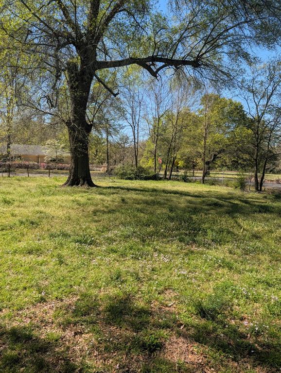 3395 Bonham Street Paris, TX 75460 - Photo 2 of 5 a view of a yard with a tree