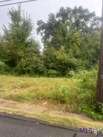 $9,500 | 624 Lorri Burgess Avenue, Baton Rouge, LA 70802