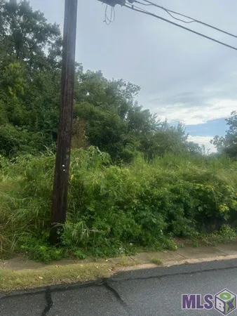 $9,500 | 624 Lorri Burgess Avenue, Baton Rouge, LA 70802