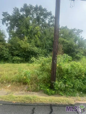 $9,500 | 624 Lorri Burgess Avenue, Baton Rouge, LA 70802