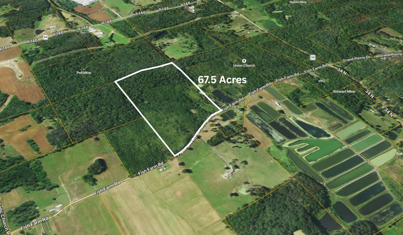 70 Fish Farm Road Golconda, IL 62938 - Photo 5 of 19