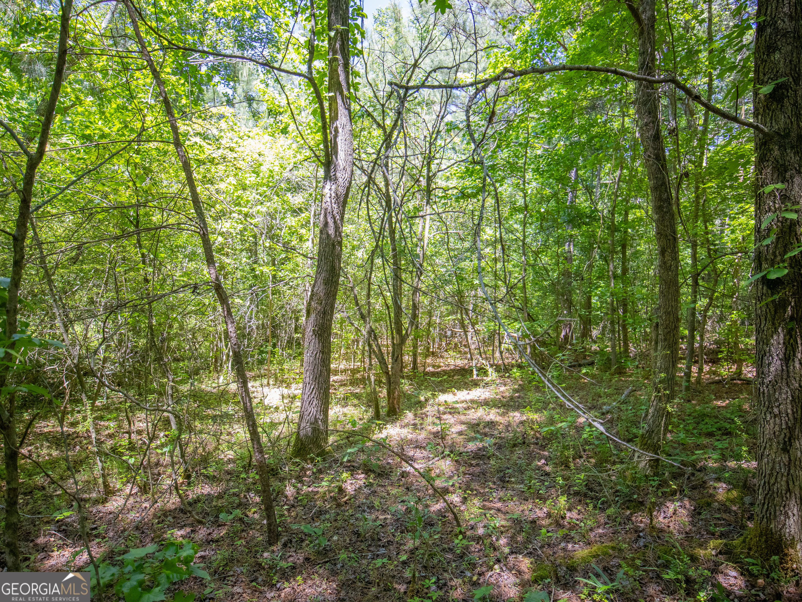 4.48-acres Bronco Road LaFayette, GA 30728 - Photo 8 of 13