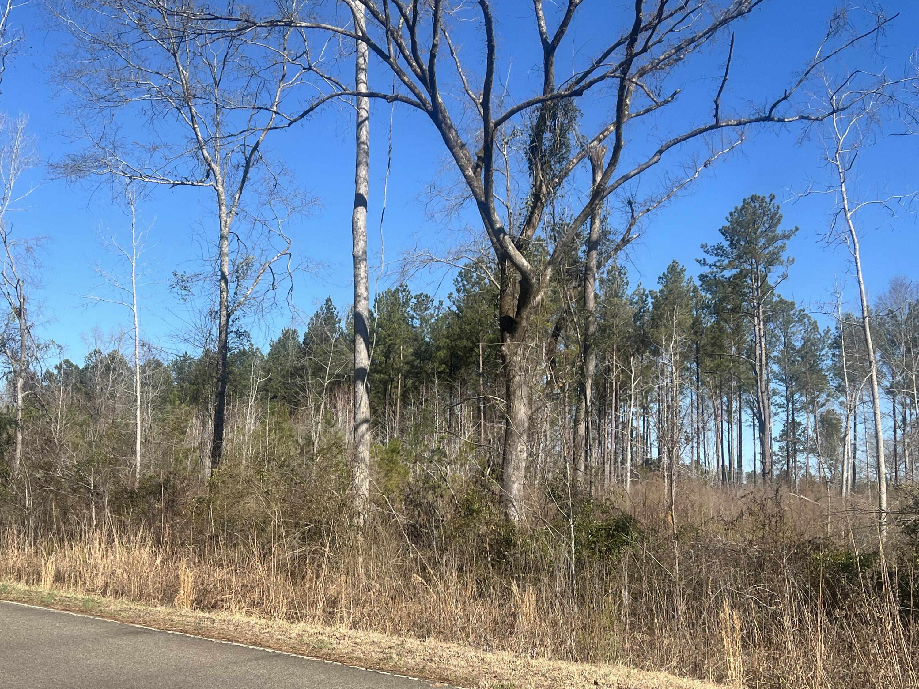 0 Old 5 Notch Road Edgefield, SC 29824 - Photo 1 of 6 IMG_1124