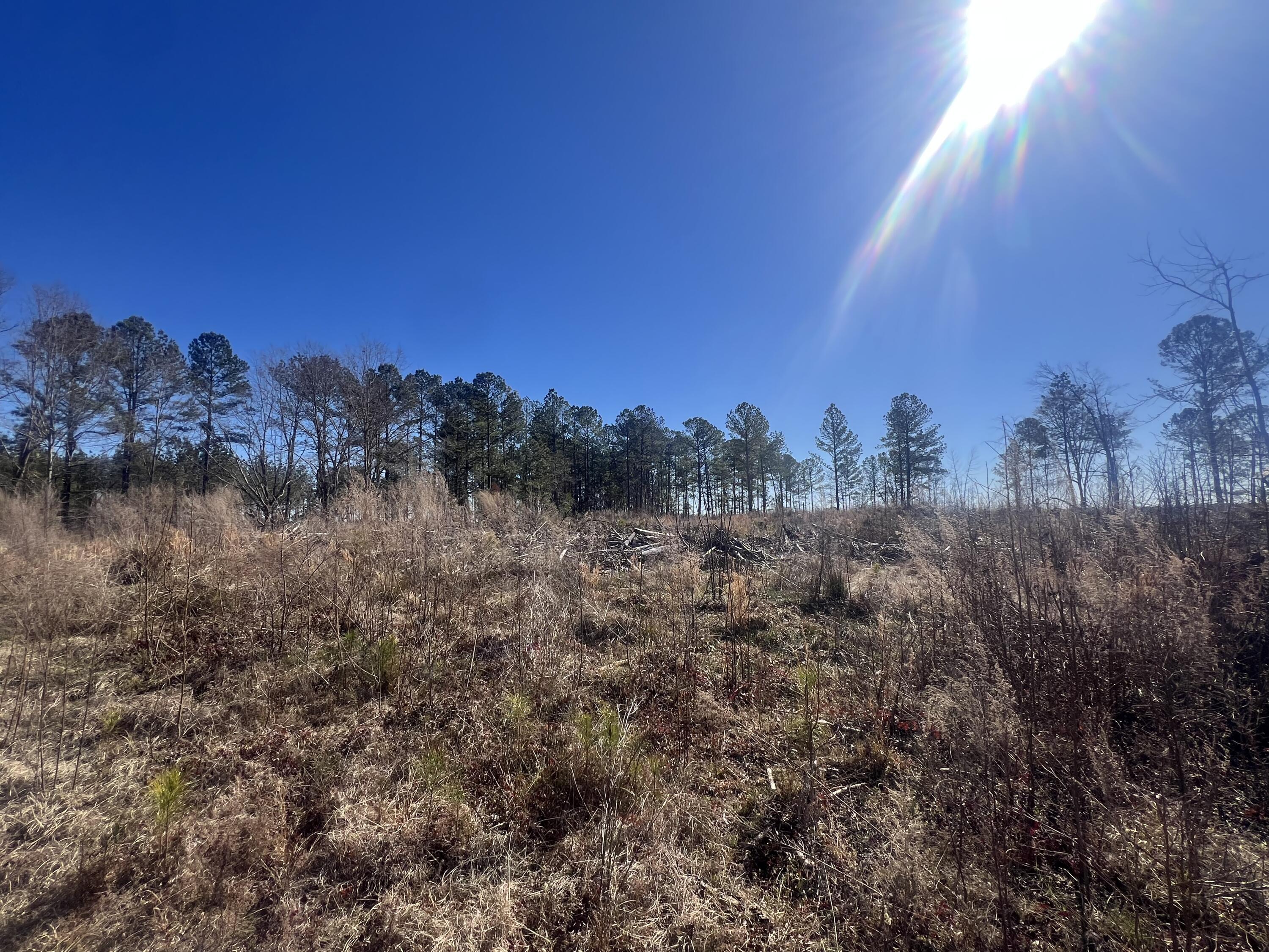 0 Old 5 Notch Road Edgefield, SC 29824 - Photo 2 of 6 Homesite