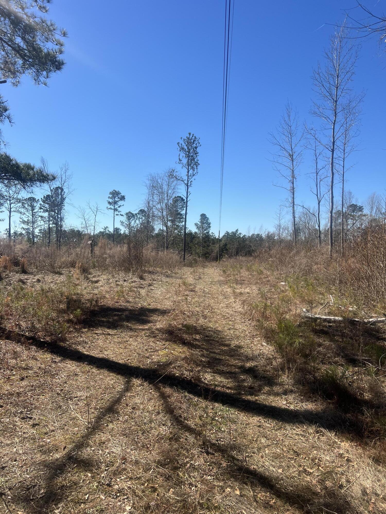 0 Old 5 Notch Road Edgefield, SC 29824 - Photo 3 of 6 IMG_1125