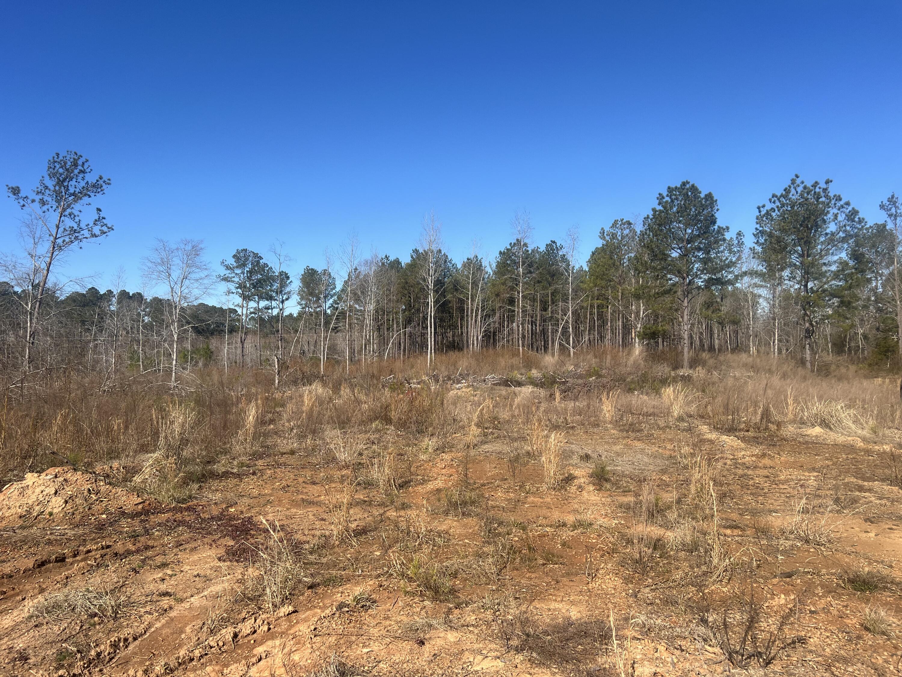 0 Old 5 Notch Road Edgefield, SC 29824 - Photo 4 of 6 IMG_1129