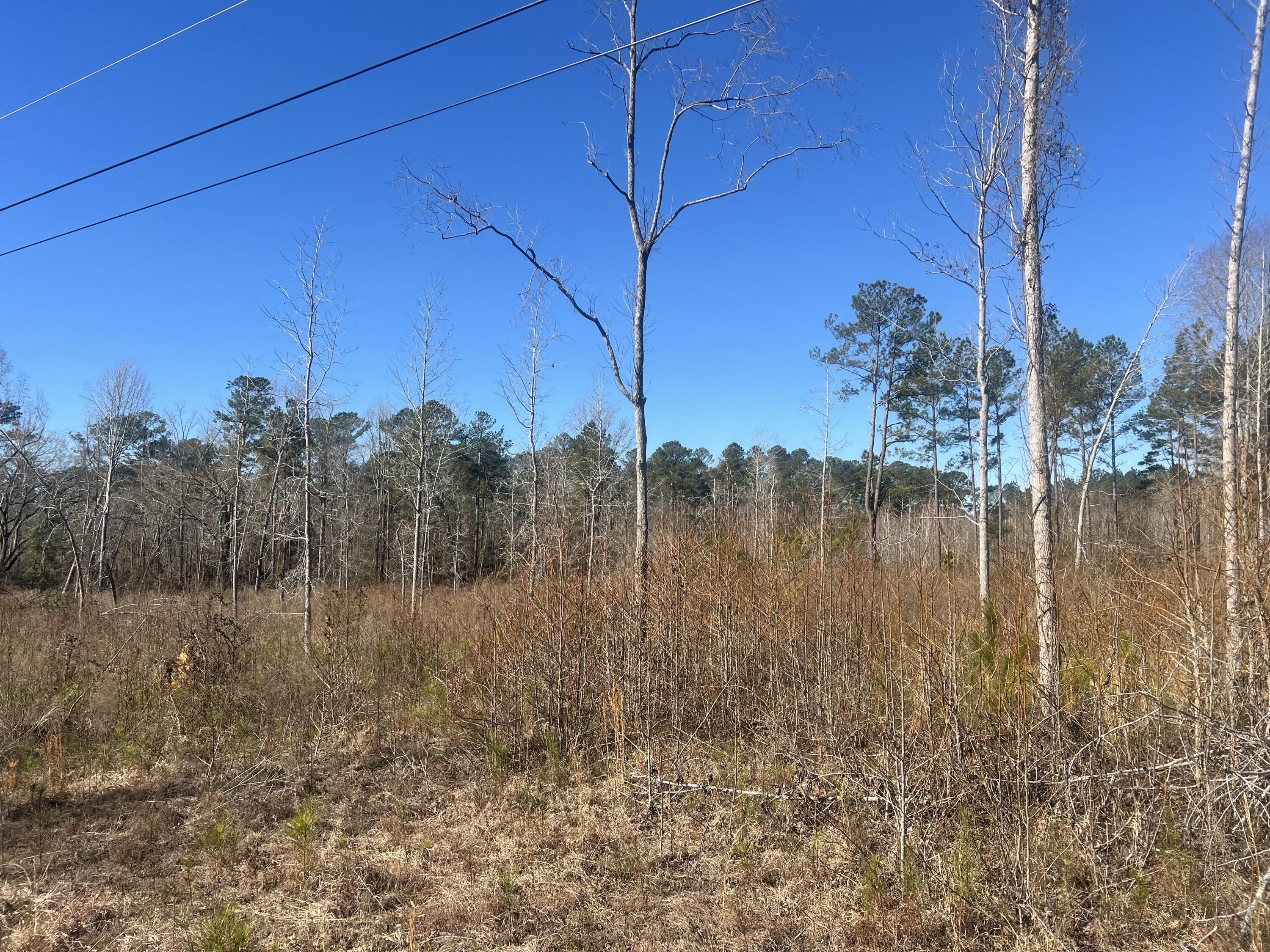 0 Old 5 Notch Road Edgefield, SC 29824 - Photo 6 of 6 IMG_1126