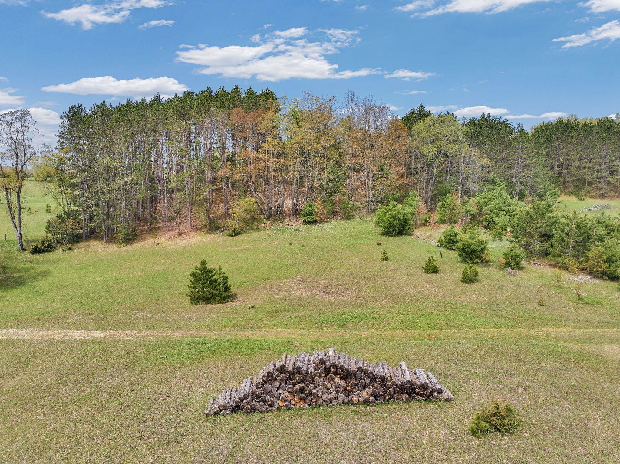 22386 16 Mile Road Leroy, MI 49655 - Photo 53 of 63