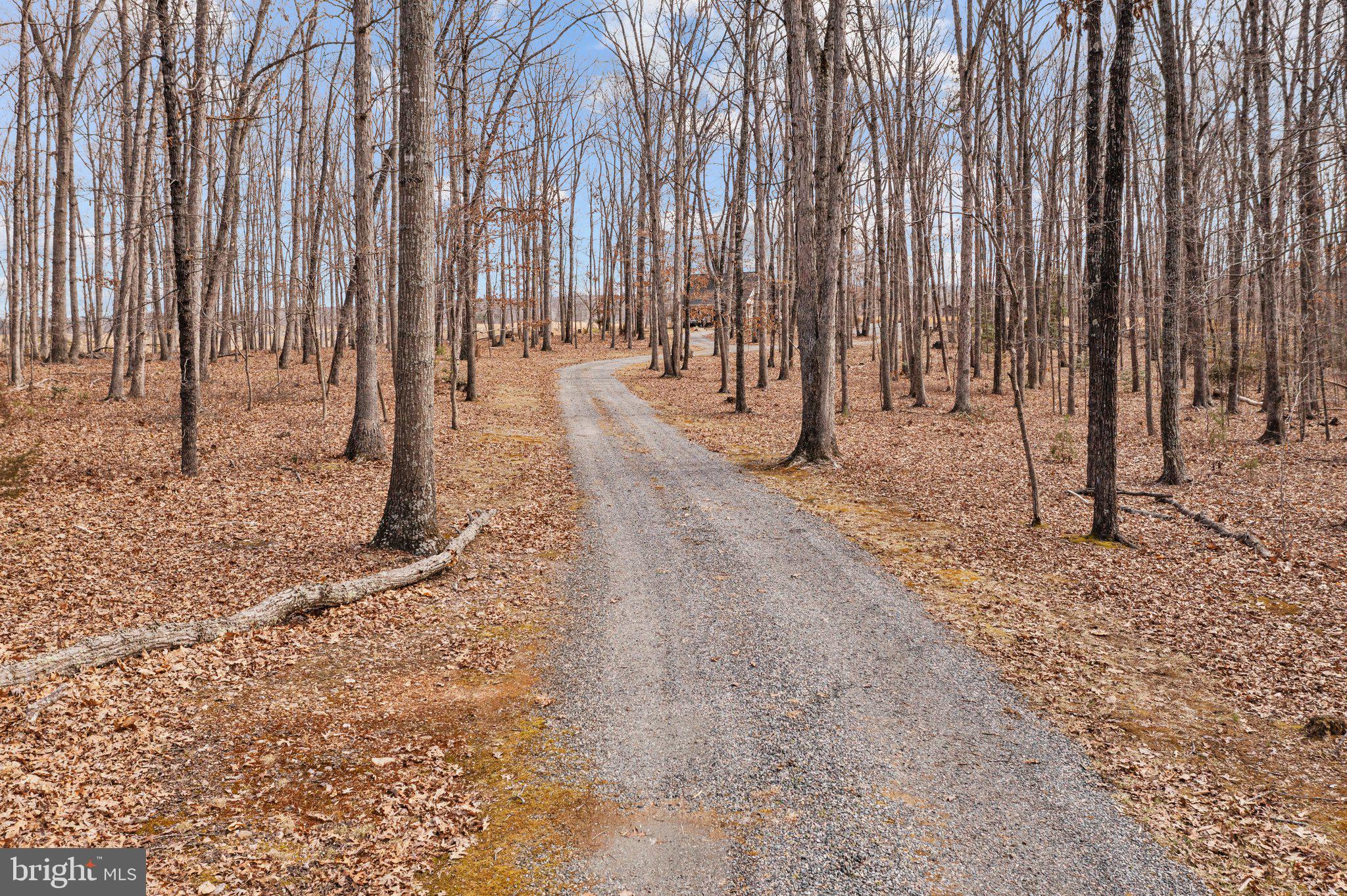 2638 Mt Airy Road Louisa, VA 23093 - Photo 20 of 51 Gallery Image 20