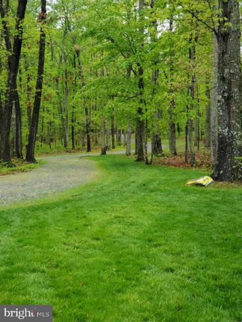 2638 Mt Airy Road Louisa, VA 23093 - Photo 46 of 51 Gallery Image 46