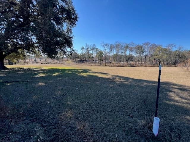 10299 Cravey Bridge Road Florala, AL 36442 - Photo 48 of 50 Gallery Image 48