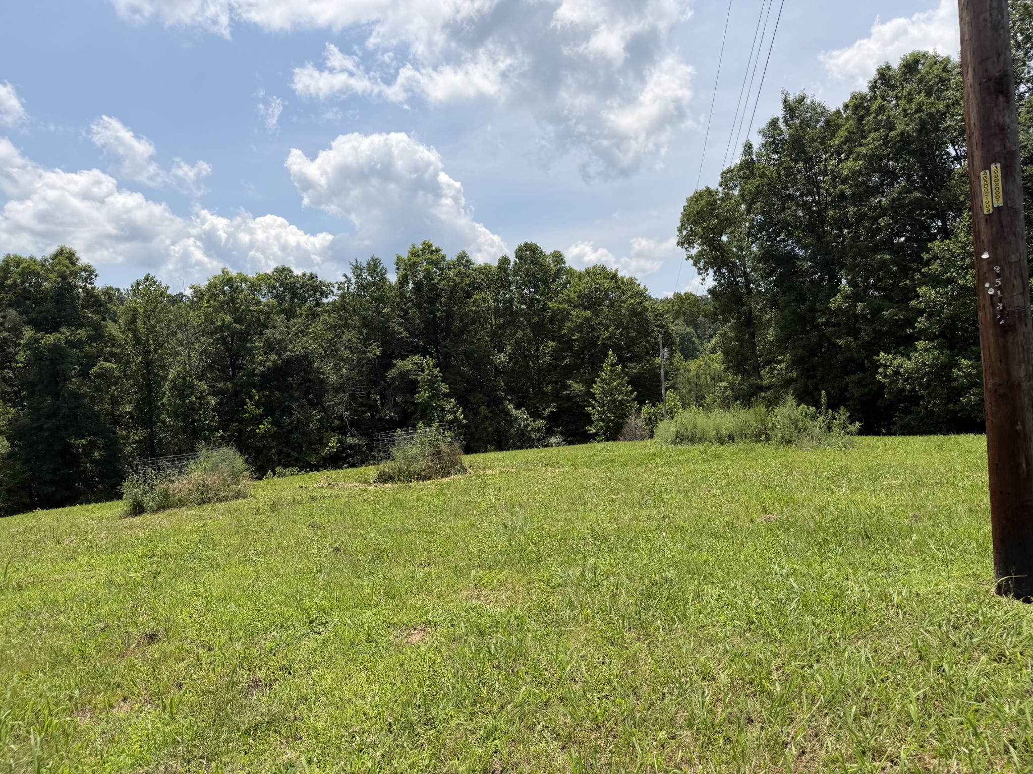 232 Cane Creek Road Hohenwald, TN 38462 - Photo 79 of 91