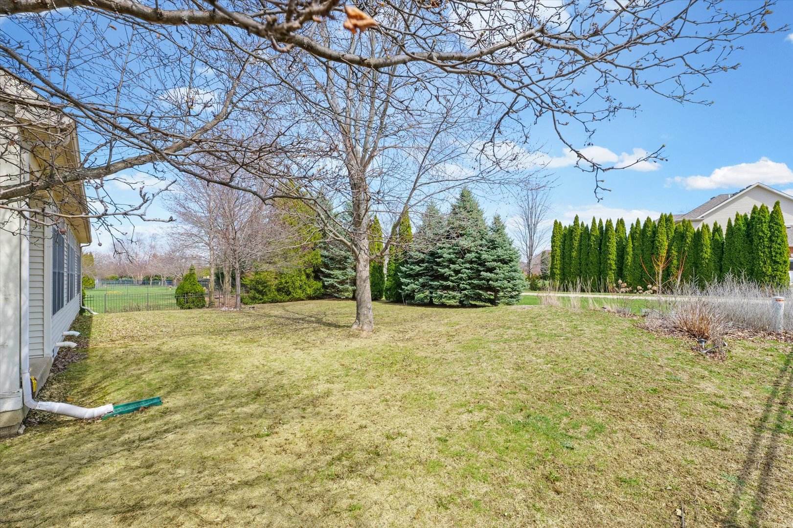 1818 Benodot Street Champaign, IL 61822 - Photo 38 of 41 a yard with a tree