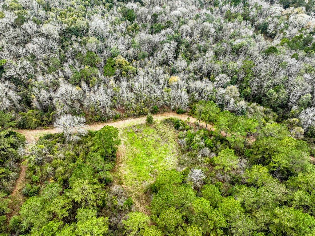 0 Double Creek Road Coffee Springs, AL 36318 - Photo 9 of 24