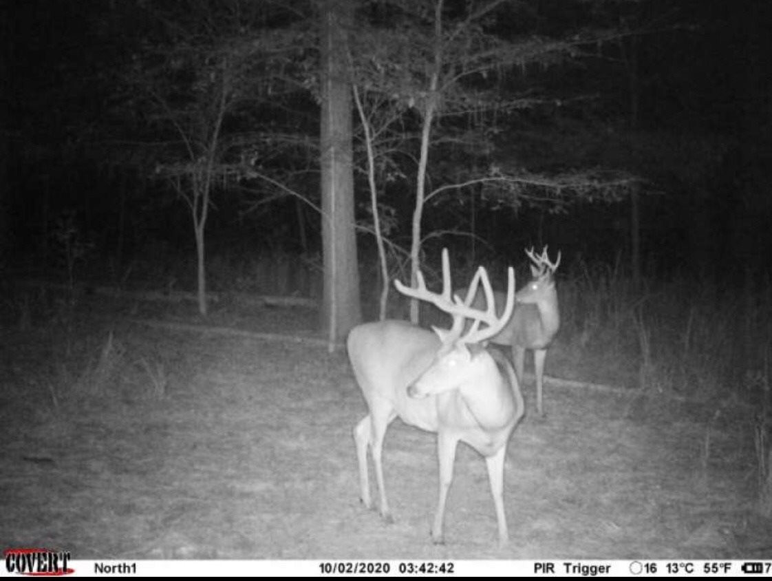 2623 Berryville Road Benton, MS 39039 - Photo 4 of 9 Photo 4