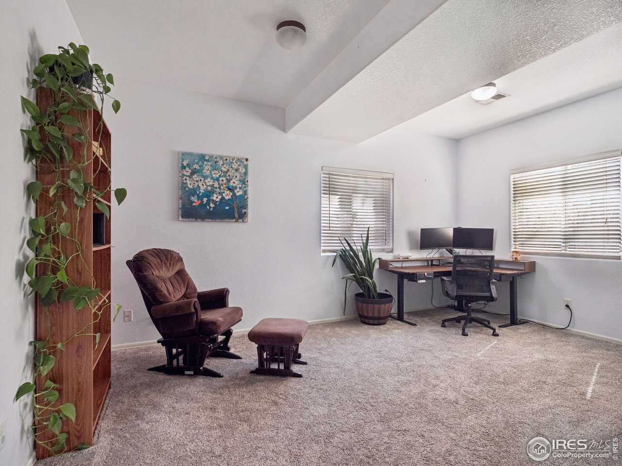 4050 West 30th Street Road Greeley, CO 80634 - Photo 24 of 37 lower level open area for entertaining, play room, den, or library!