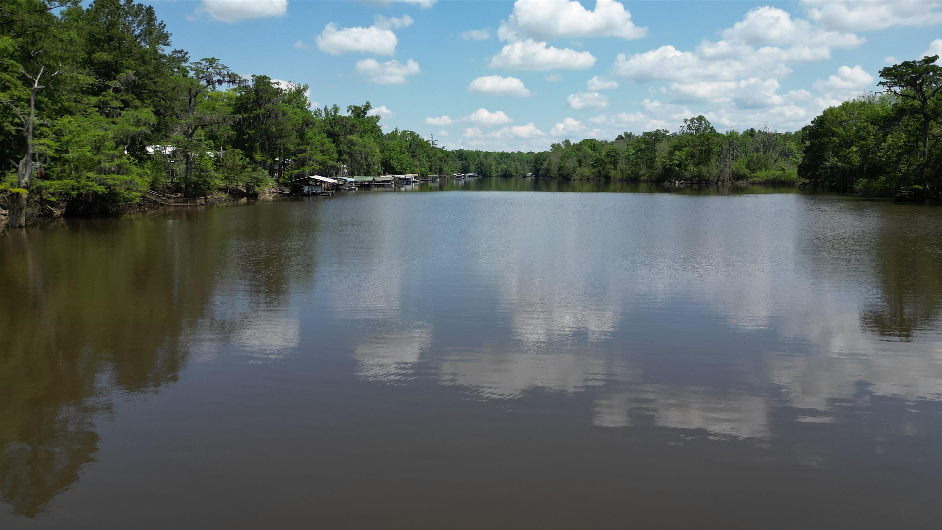 420 Lakeside Drive McIntosh, AL 36553 - Photo 32 of 32
