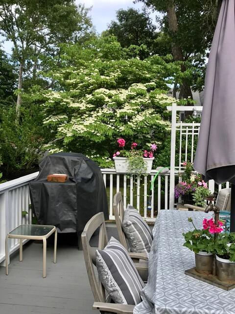 53 Kelley Road West Harwich, MA 02671 - Photo 35 of 43 a view of a chairs and table in patio