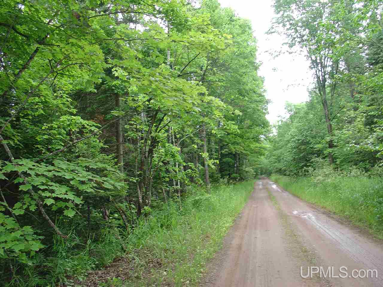 Off Ethelwood Grade Road Marenisco, MI 49947 - Photo 5 of 12
