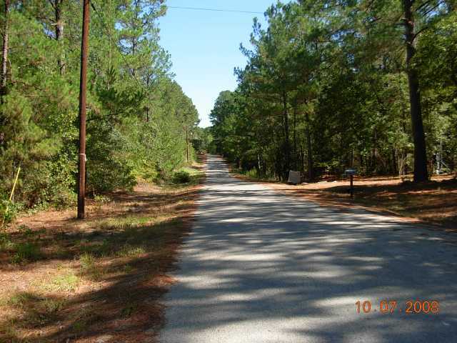 0 Cardinal Loop Paige, TX 78659 - Photo 1 of 1 Gallery Image 1