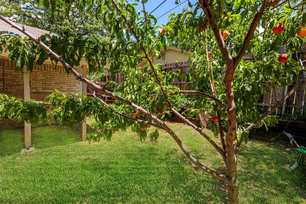 617 Rolling Ridge Court Azle, TX 76020 - Photo 14 of 20 Rear yard featuring a mature fruit-bearing tree, green lawn, brick exterior, and a covered patio supported by columns