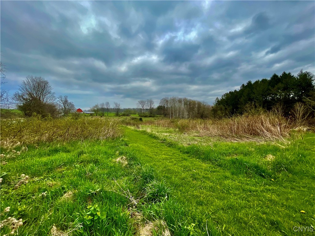 2951 Bishop Road Madison, NY 13346 - Photo 29 of 29