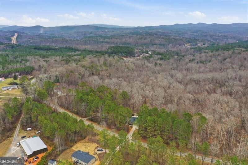 2452 Pleasant Hill Road Talking Rock, GA 30175 - Photo 49 of 50