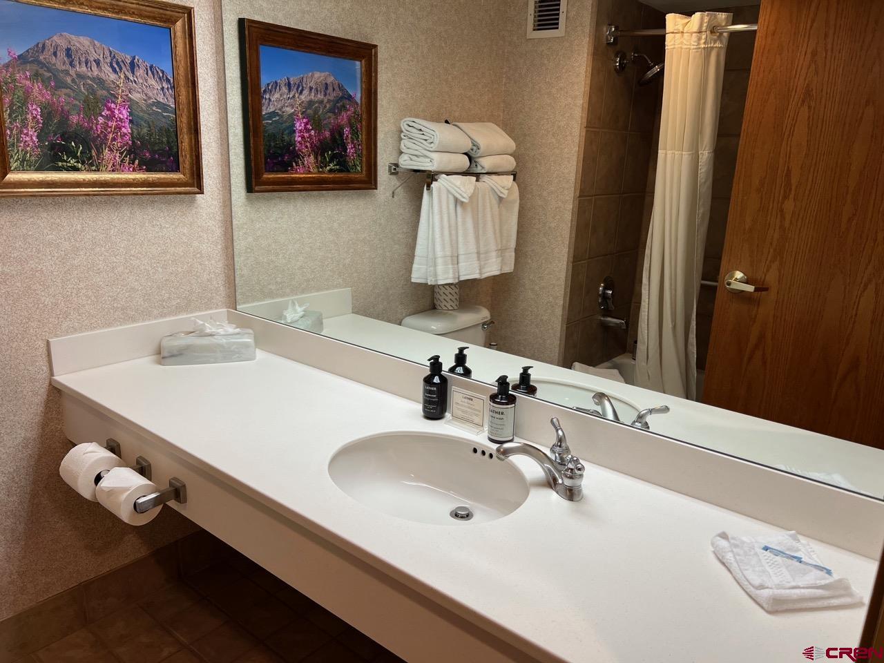 6 Emmons Road, Unit 365 Crested Butte, CO 81225 - Photo 29 of 32 Gallery Image 29