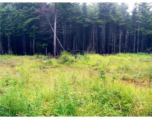 18 High Head Road East Machias, ME 04630 - Photo 5 of 6 Land/Lot.