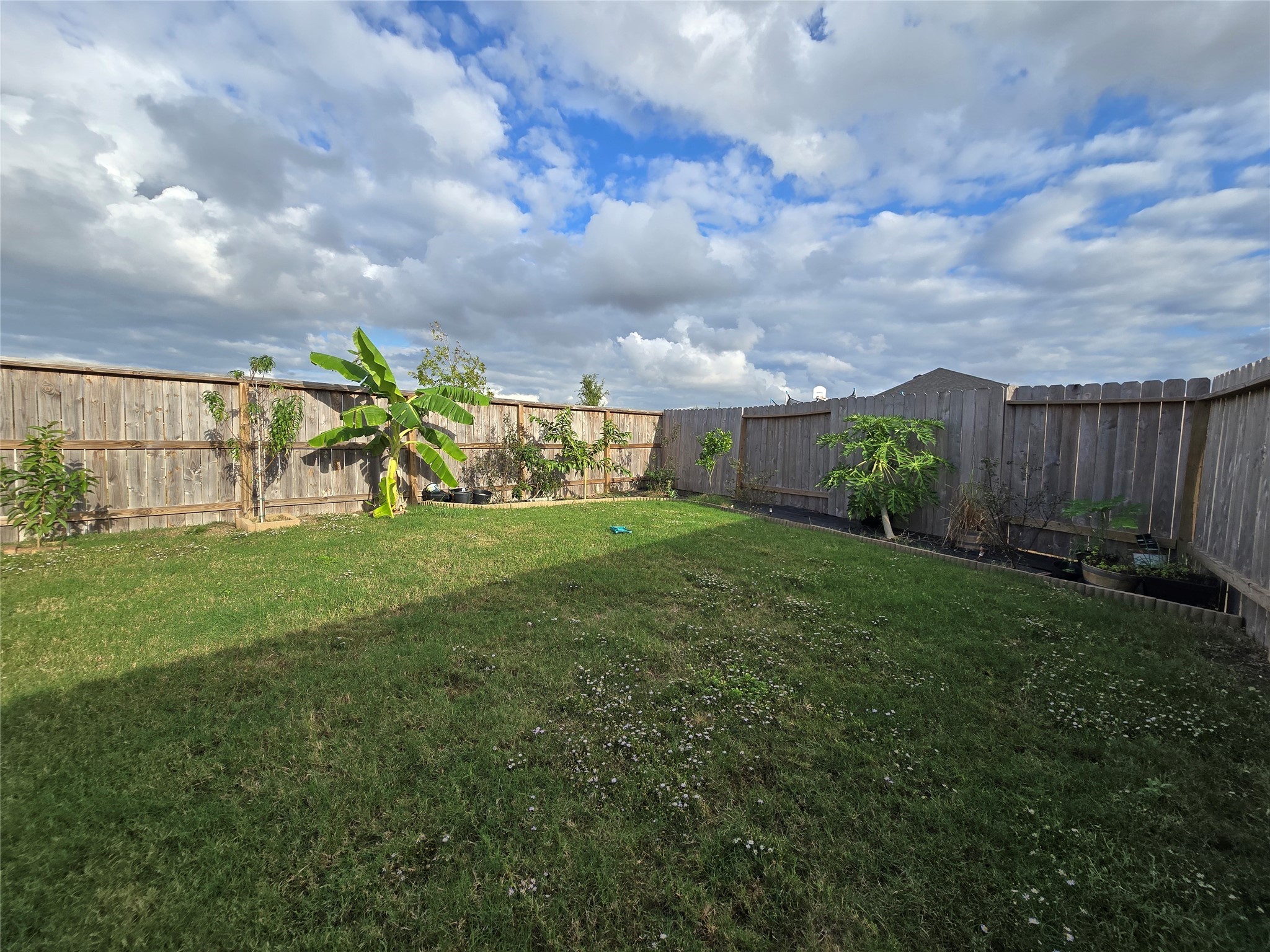 7207 Dawn View Lane Rosenberg, TX 77469 - Photo 37 of 50