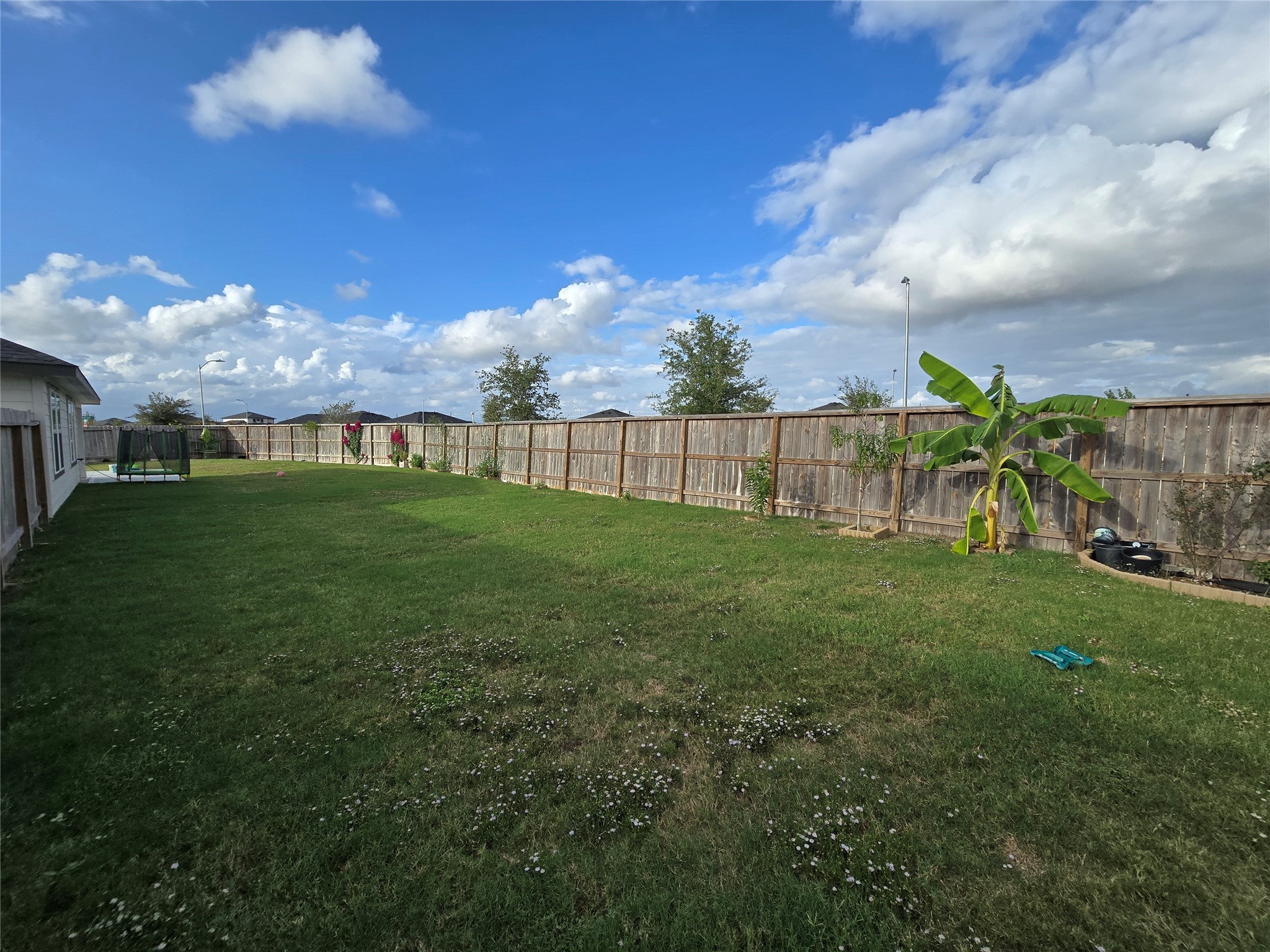 7207 Dawn View Lane Rosenberg, TX 77469 - Photo 38 of 50