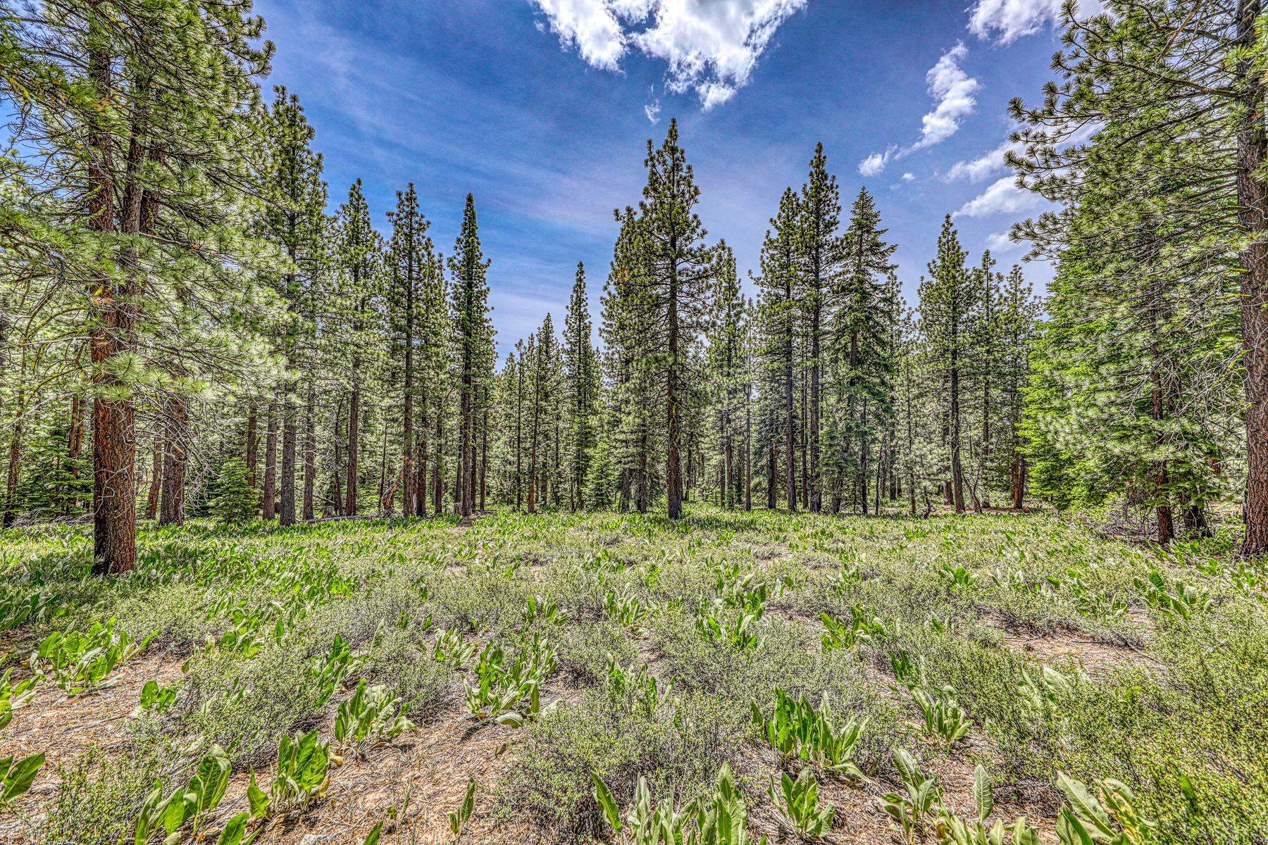 16145 Martis Peak Road Truckee, CA 96161 - Photo 8 of 21