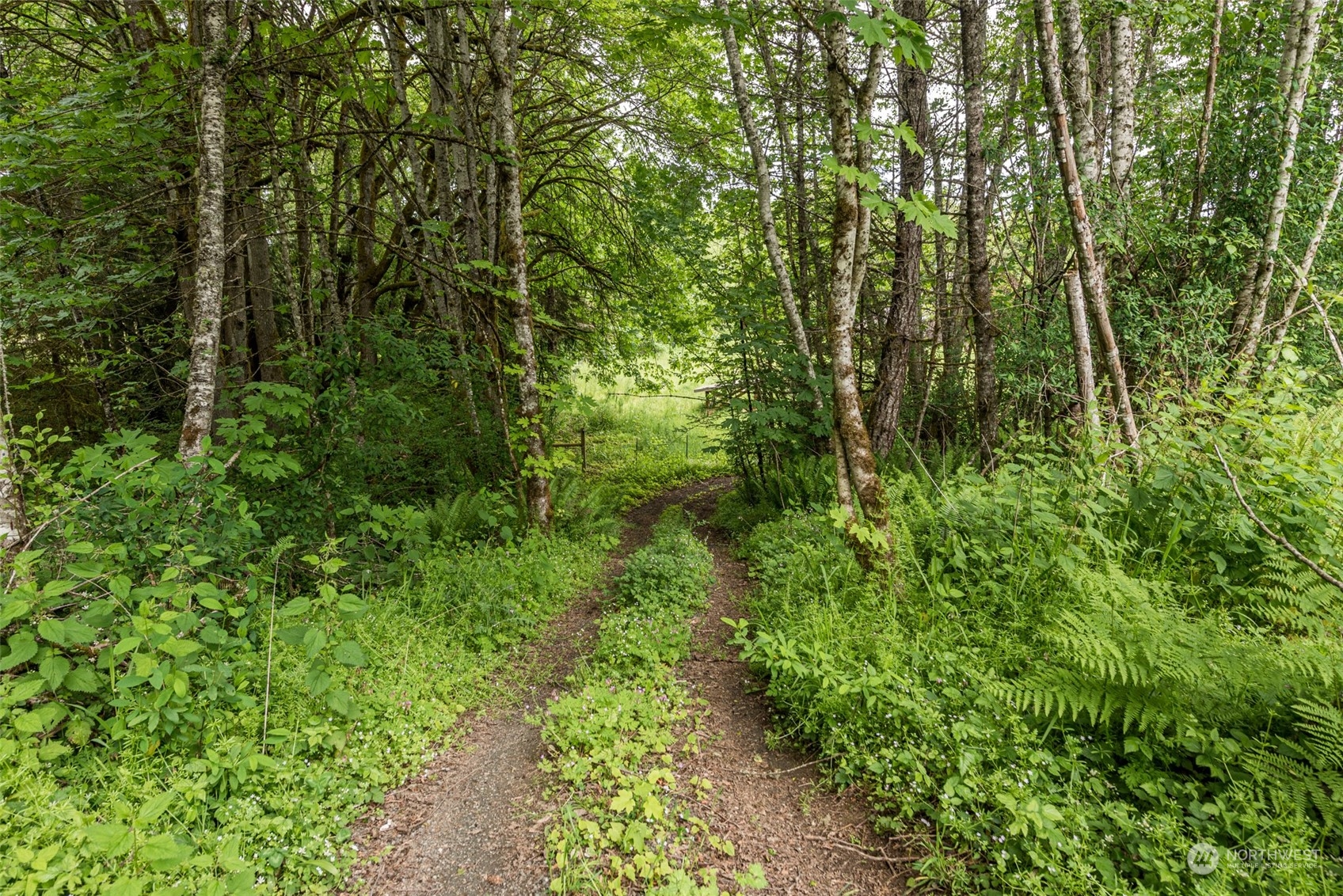 2018 Monroe Road Port Angeles, WA 98362 - Photo 39 of 40 Gallery Image 39